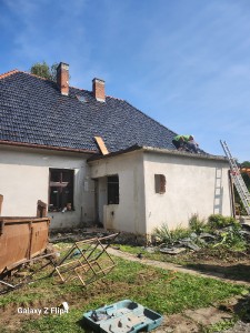 azno9890.jpg